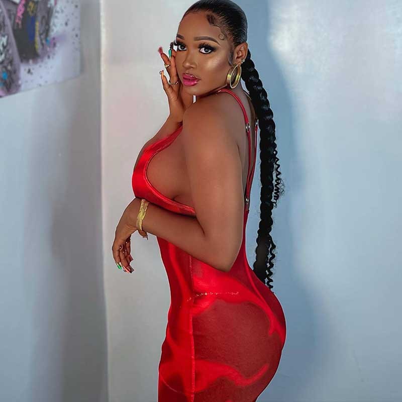 Women's Fashionable High Waist Mesh Camisole Hip Skirt