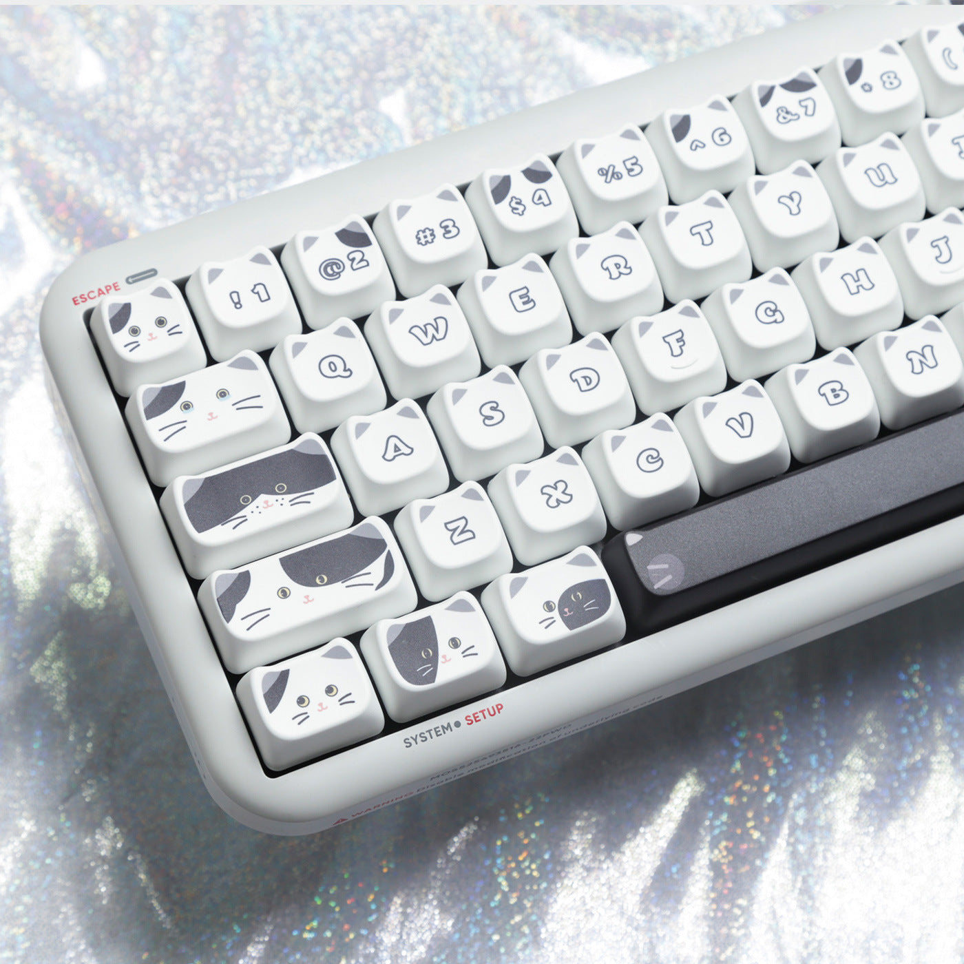 Black And White Kitten Full Set Sublimation Key Cap