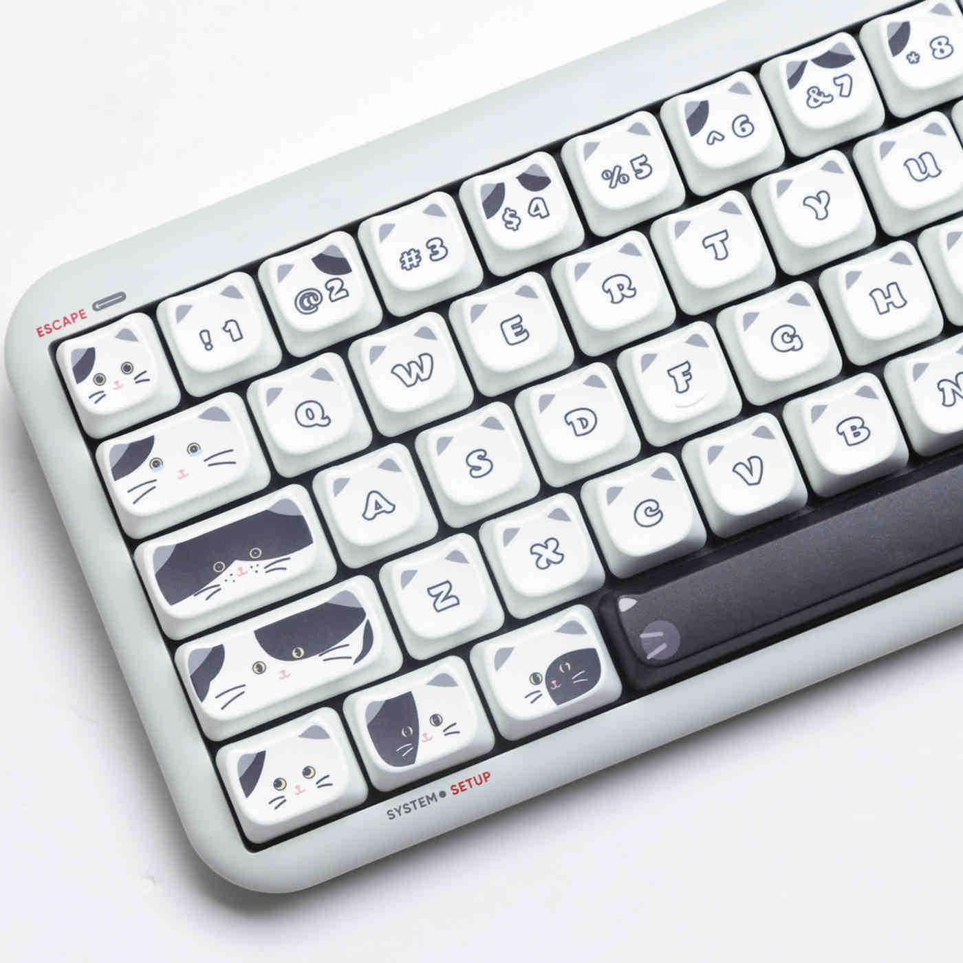 Black And White Kitten Full Set Sublimation Key Cap