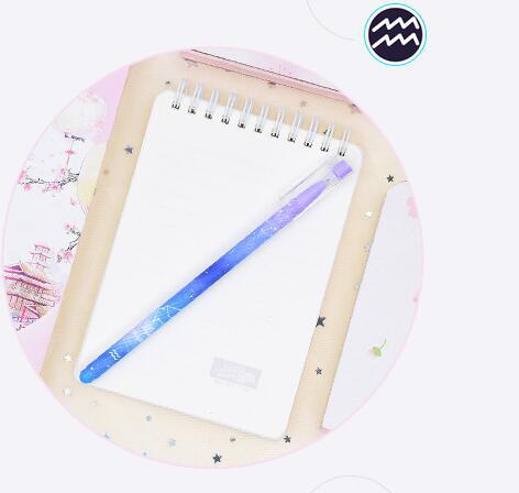 12 constellation boxed quick-drying gel pen
