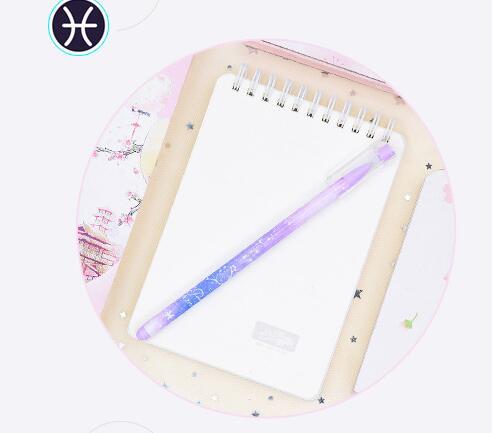 12 constellation boxed quick-drying gel pen