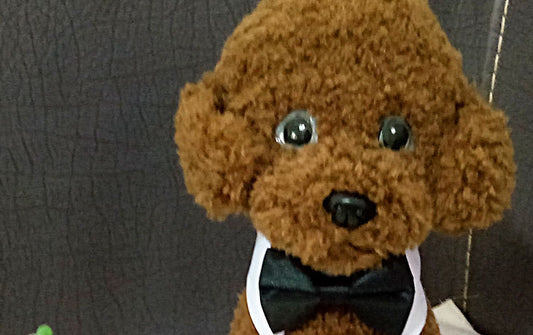 Wearing Bow Tie Collar Jewelry Saliva Towel
